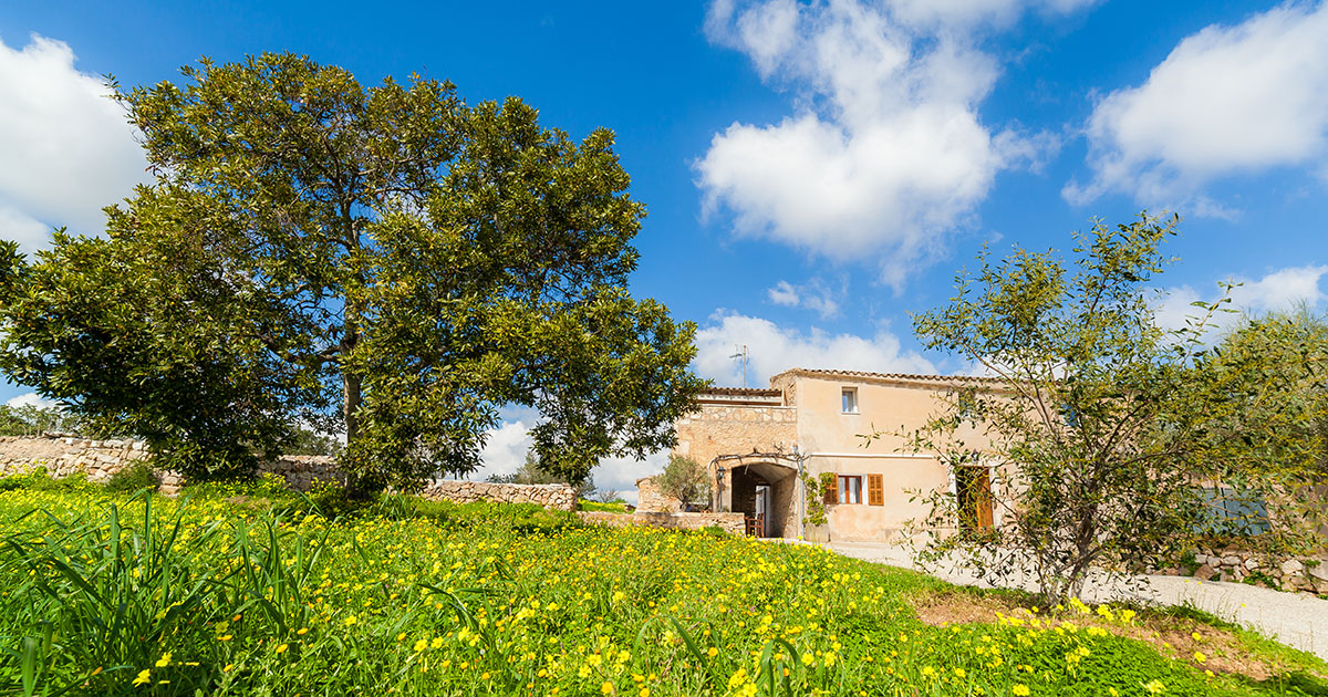 Finca Son Prohens - Fotografía Profesional Alquiler Vacacional